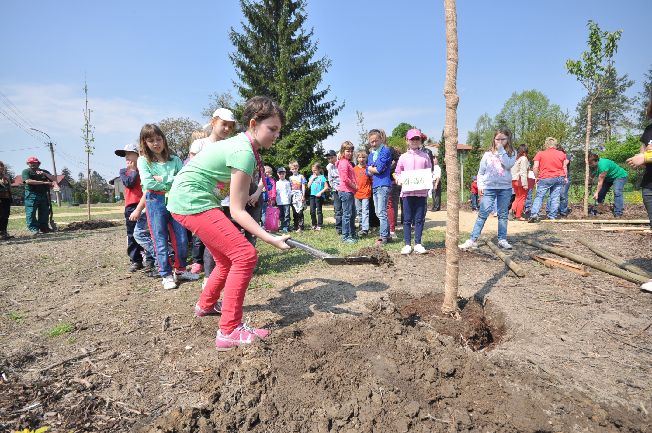 2014 04 30 sázení stromů sokolovna Záblatí 24