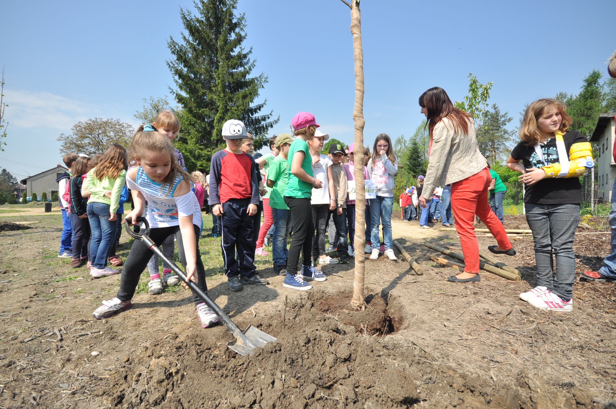 2014 04 30 sázení stromů sokolovna Záblatí 28