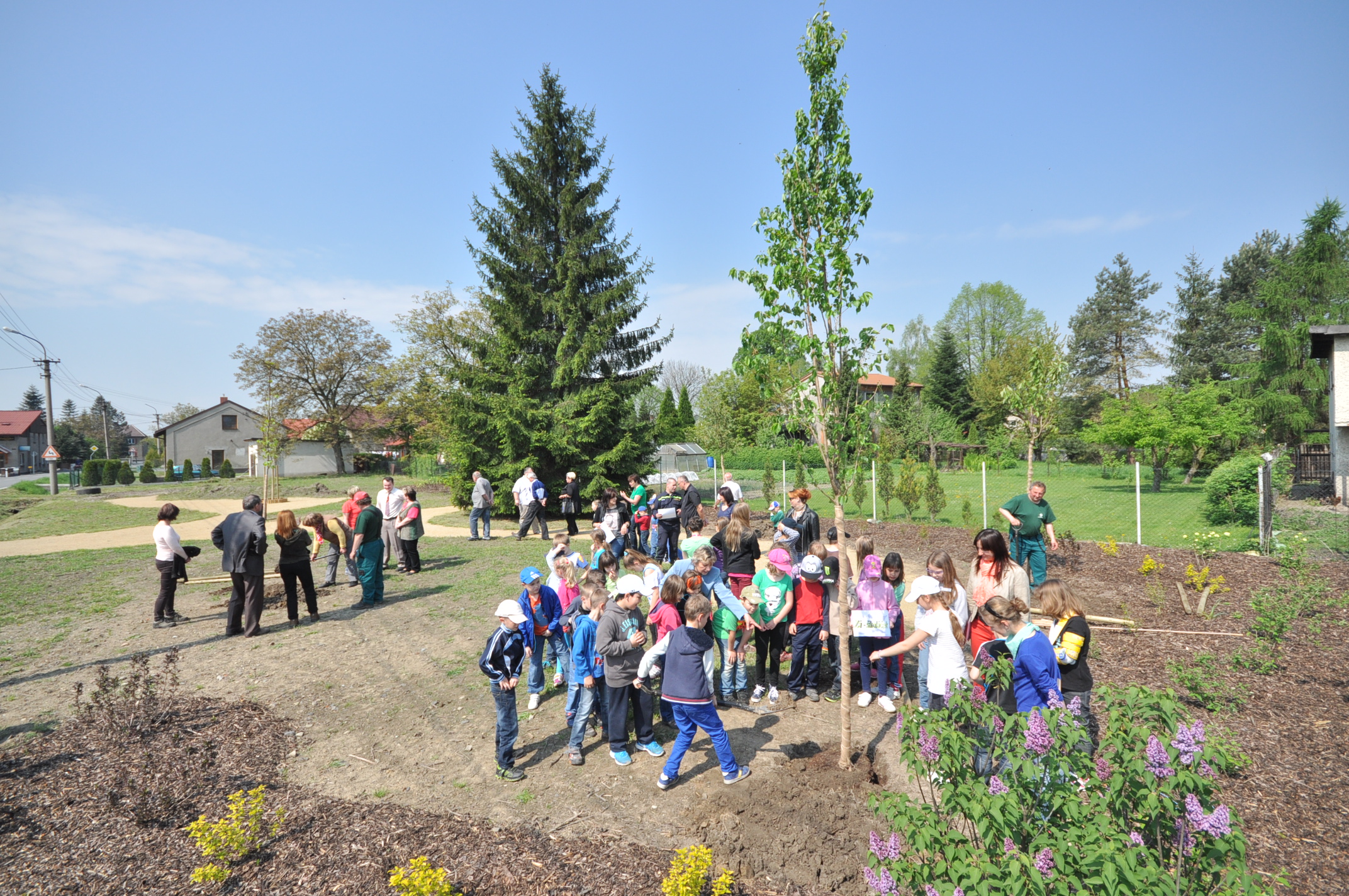 2014 04 30 sázení stromů sokolovna Záblatí 30