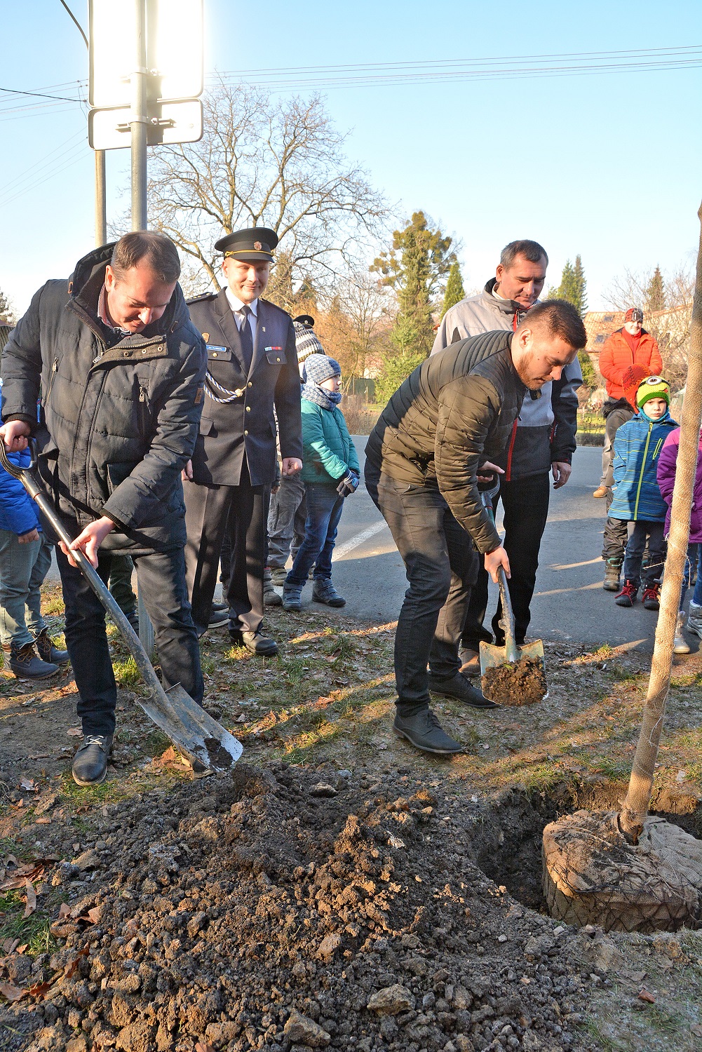 2018 11 29 lípa Masarykova Záblatí sázení 10