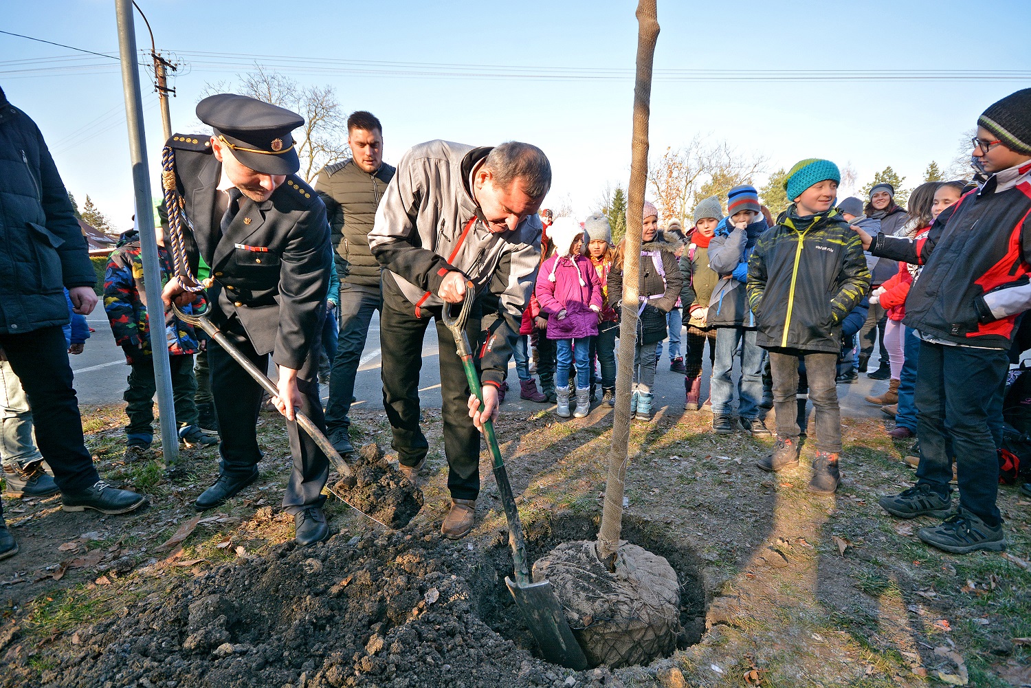 2018 11 29 lípa Masarykova Záblatí sázení 12