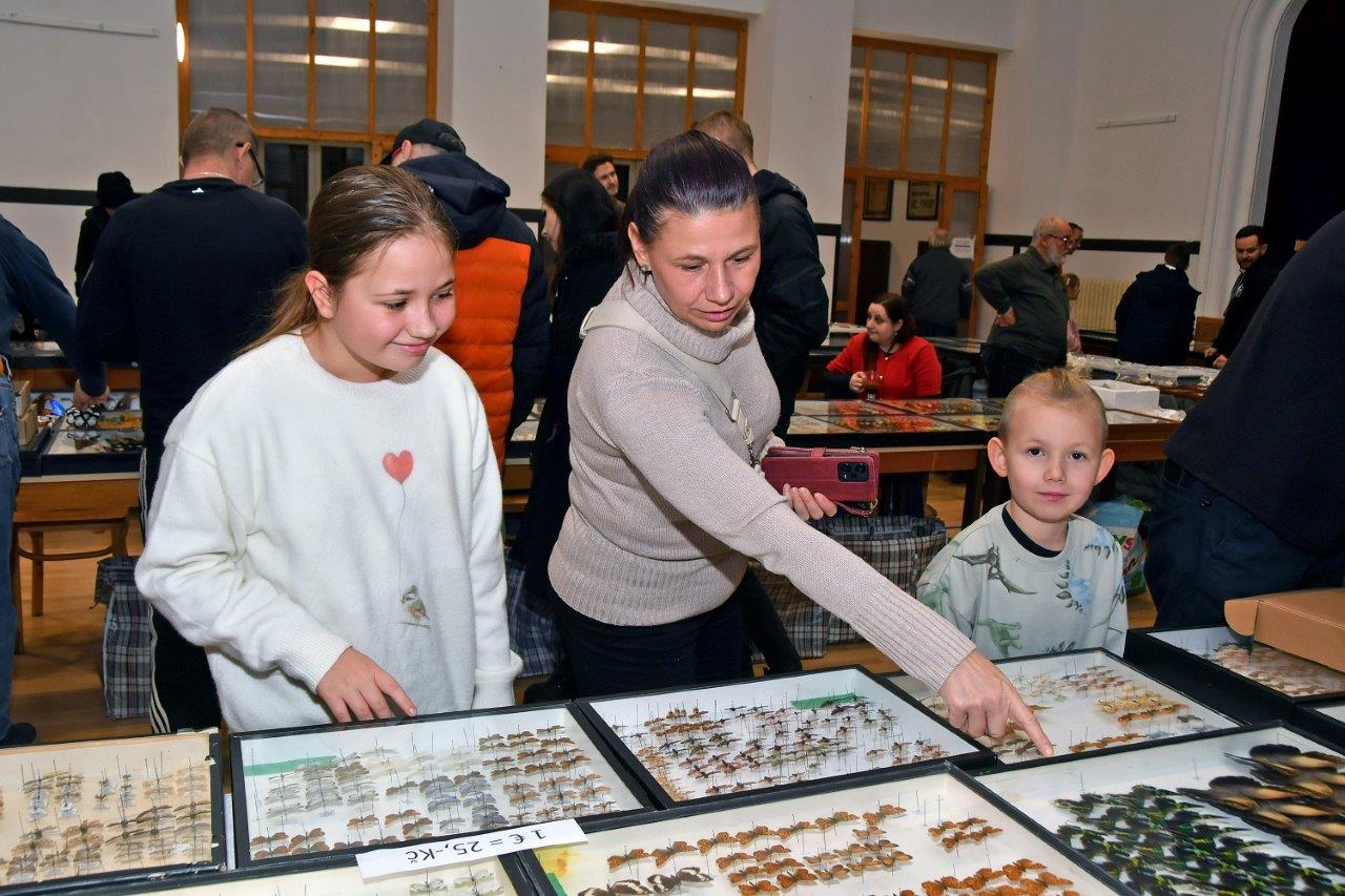 2025 12 14 motýli hmyz výstava 02