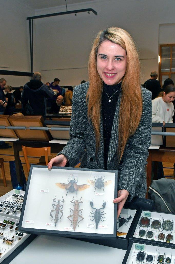 2025 12 14 motýli hmyz výstava 03