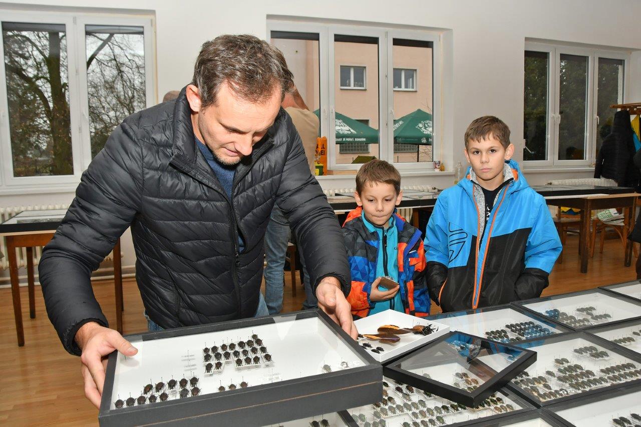 2025 12 14 motýli hmyz výstava 06