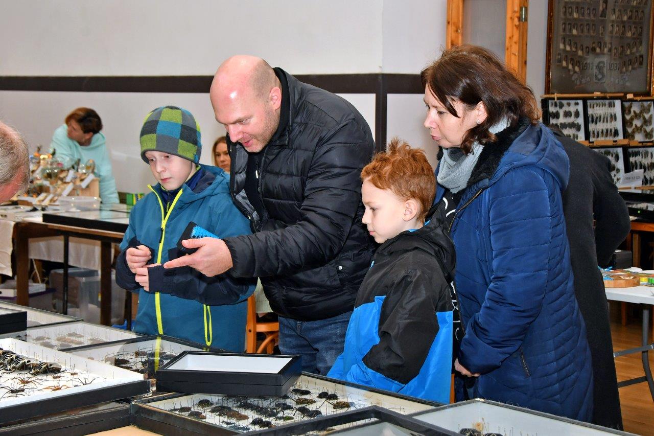 2025 12 14 motýli hmyz výstava 08