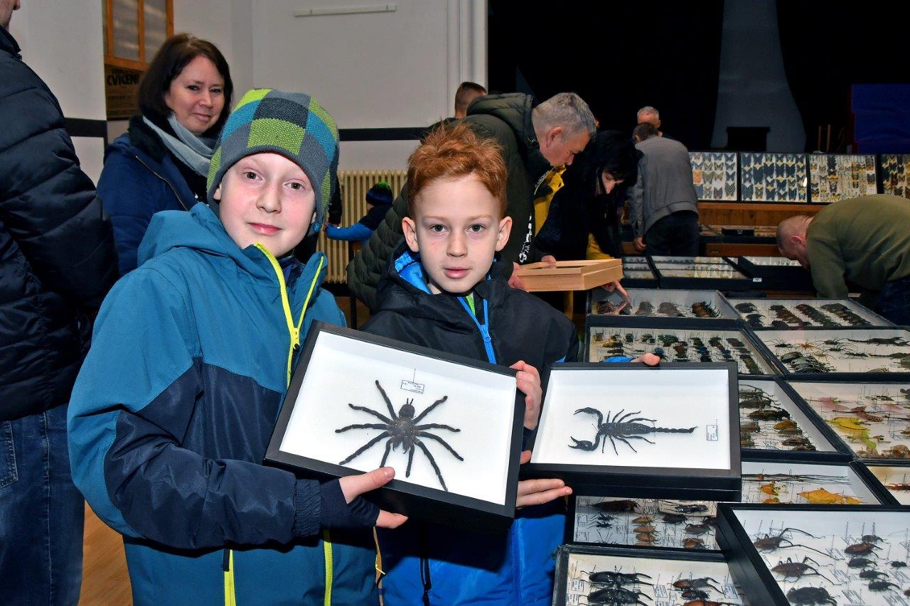 2025 12 14 motýli hmyz výstava 09