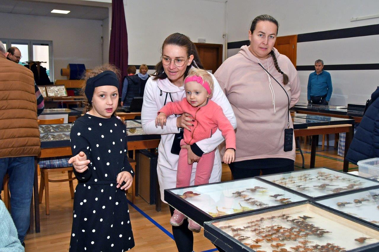 2025 12 14 motýli hmyz výstava 10