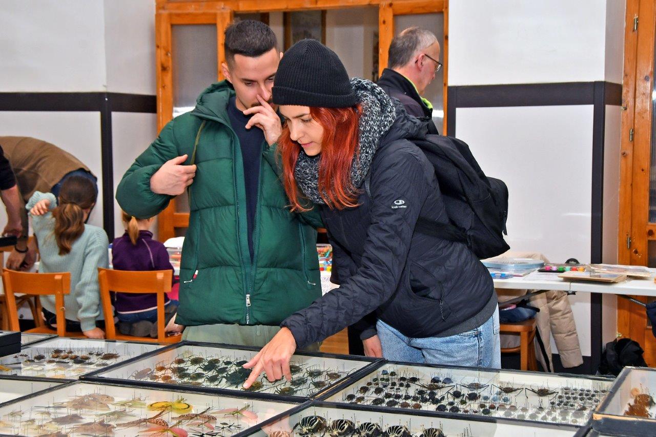 2025 12 14 motýli hmyz výstava 11