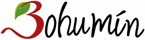 bohumin.jpg