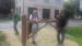 20180911_111818_resized