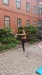 IMG-20250723-WA0015