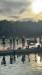 IMG-20260810-WA0005