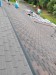IMG-20260831-WA0052